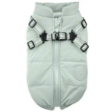 Ollipet Arctic Explorer | Model 1.0