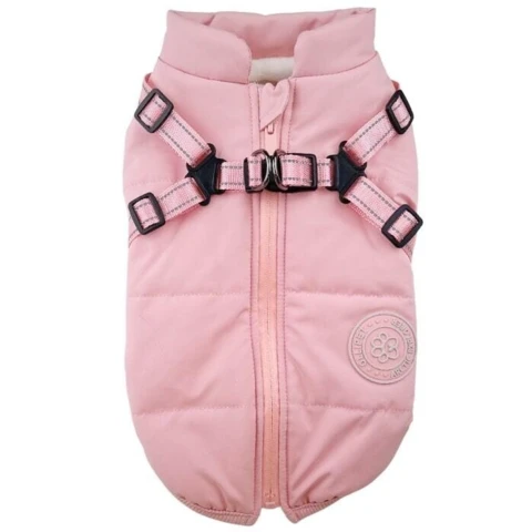 Ollipet Arctic Explorer | Model 1.0