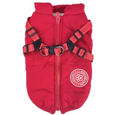Ollipet Arctic Explorer | Model 1.0