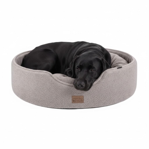 Labrador Retriever i Nordic Paws Sofus Hundeseng