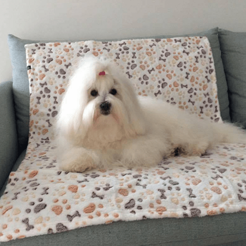 Lingo hundetæppe med spor