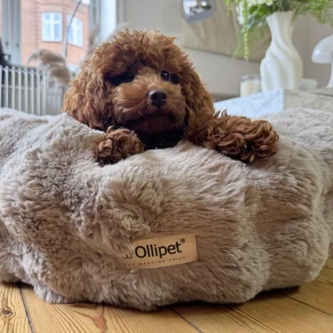 Molly i sin bløde Soft Wave Donutseng