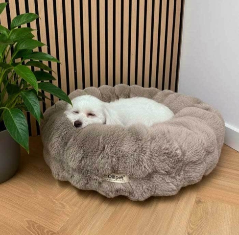 Ollipet Soft Wave Donutseng
