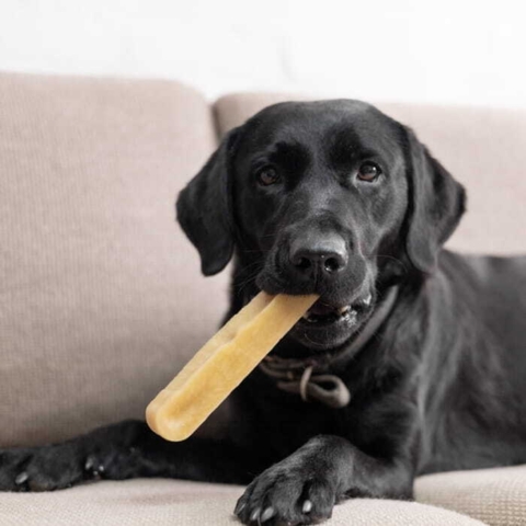 Yaki Tyggeben Peanutbutter str. XL