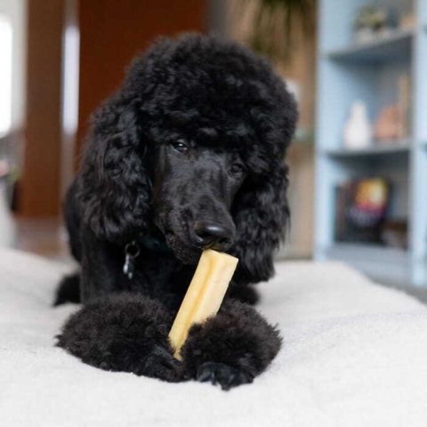 Yaki Tyggeben Peanutbutter str. L