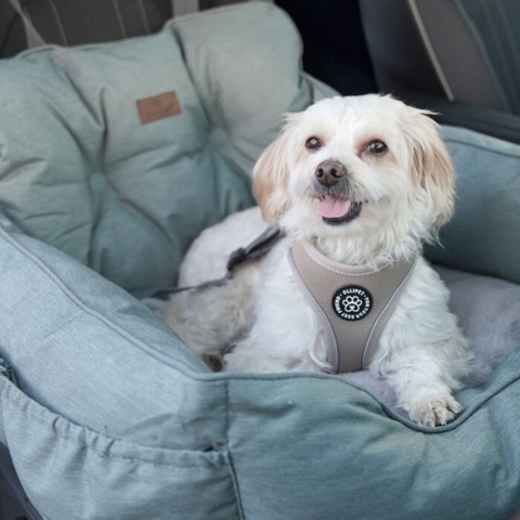Ollipet comfort autosæde