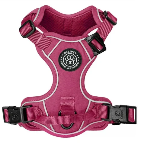 Wagging Tails Adventure Hundesele | Sweet Cherry