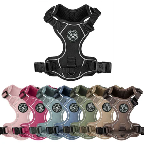 Ollipet For Wagging Tails | Adventure Hundesele 2.0