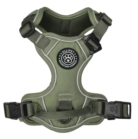 Wagging Tails Adventure Hundesele | Forest green