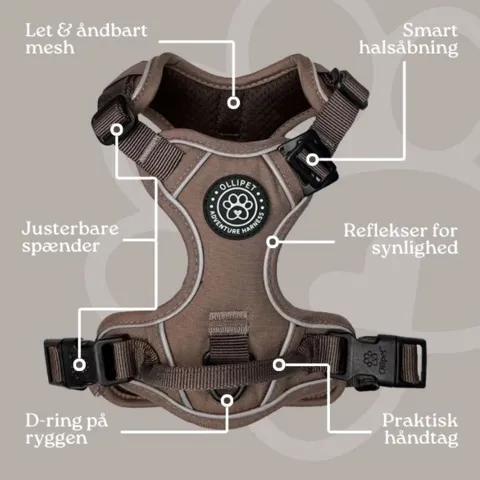 Ollipet For Wagging Tails | Adventure Hundesele 2.0