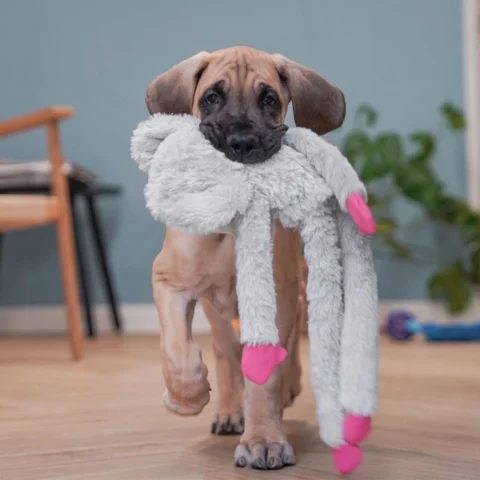 Dogman Elefant med rebskelet