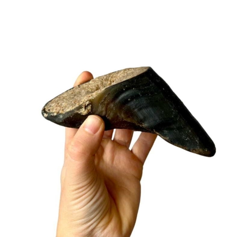 Ekstra lækker tyggeglæde med fyldt okseklov