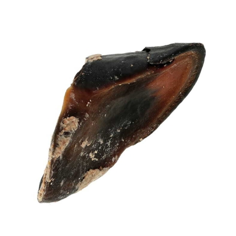 Giver langvarig tyggeglæde