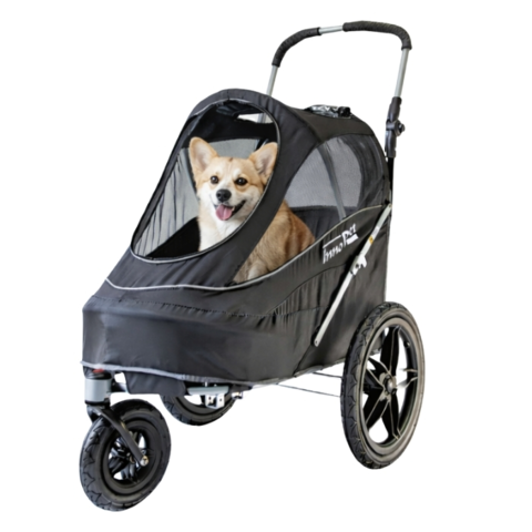En glad Corgi i Innopet Sprty hundeklapvogn