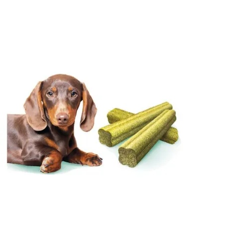 Brit Care Dog Mini Dental Sticks Fresh Breath tyggepinde til små hunde. Praktiske små tandsticks til daglig tyggeaktivitet for små racer