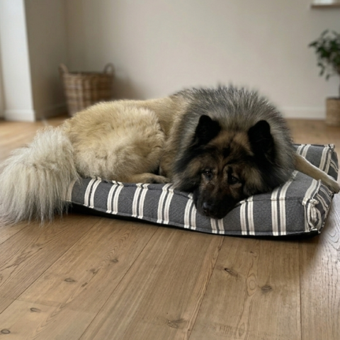 Giv din hund et komfortabelt hvilested på en Ozami Hundemadras