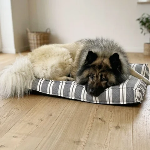 Giv din hund et komfortabelt hvilested på en Ozami Hundemadras
