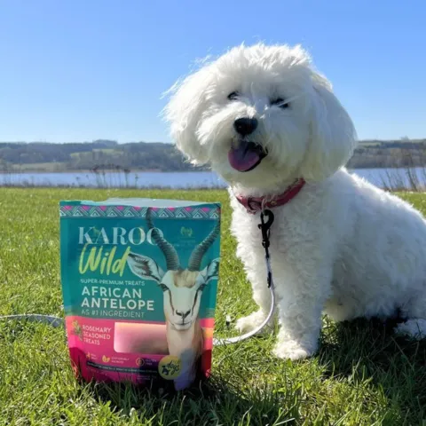 Lækre snacks i unik smag