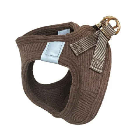 Ollipet Velluto i smuk Mokka med flot guldlukning