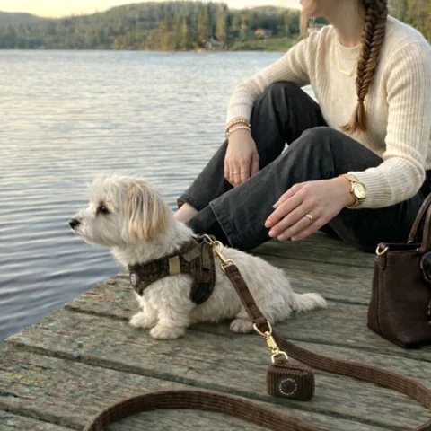 Ollipet velluto serien