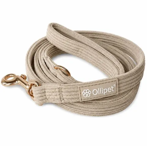 Ollipet for wagging tails hundesnor | Velluto