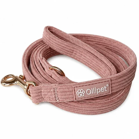 Ollipet for wagging tails hundesnor | Velluto