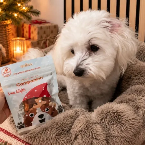 Sally med Companion Christmas snack mix for dogs | 100g