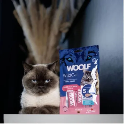 Woolf WildCat Cream 5 stk Duck & Salmon kattesnack