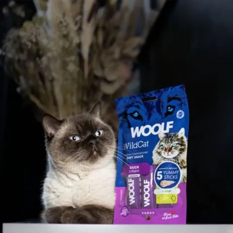 Cremet snack til kat med and og katteurt fra Woolf