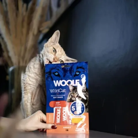 Cremet kattesnack fra Woolf WildCat med oksekød og rejeolie