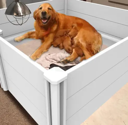 Ollipet PVC Fødekasse - med rundstokke→ Også til store hunde