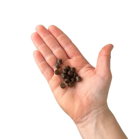 Bløde kattegodbidder i passende størrelse