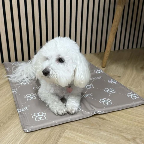 Ollipet Kølemåtte med kølegel og skumgummimadras