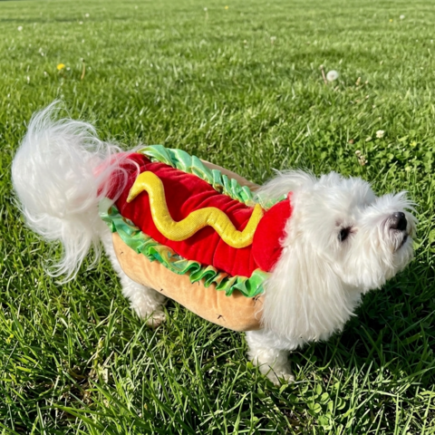 Sally i hotdog kostume