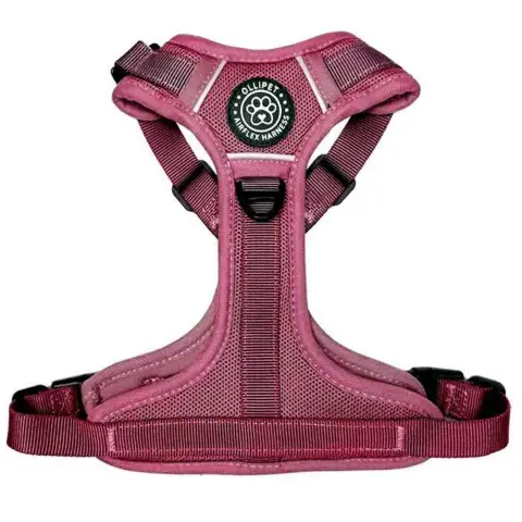 Ollipet for wagging tails | Airflex hundesele Sweet Cherry