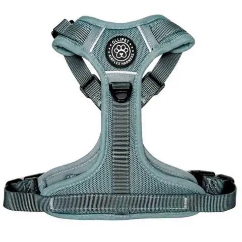 Ollipet for wagging tails | Airflex hundesele Clody Blue