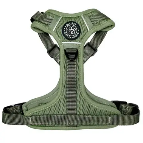 Ollipet for wagging tails | Airflex hundesele Forrest Green