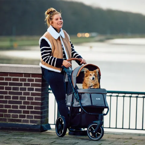 Hundeklapvogn fra Innopet - Model Buggy Cozy Premium.
Her vist i farven beige