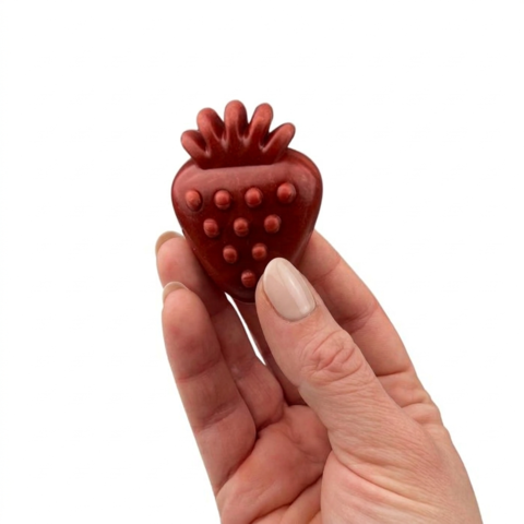 Små vegetariske hundegodbidder med frugt fra Flamingo Veggie i hård konsistens