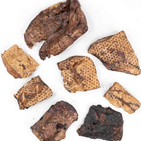 knasende hundegodbidder med gedelunge – sprøde snacks fra Snackit perfekte til træning og snack