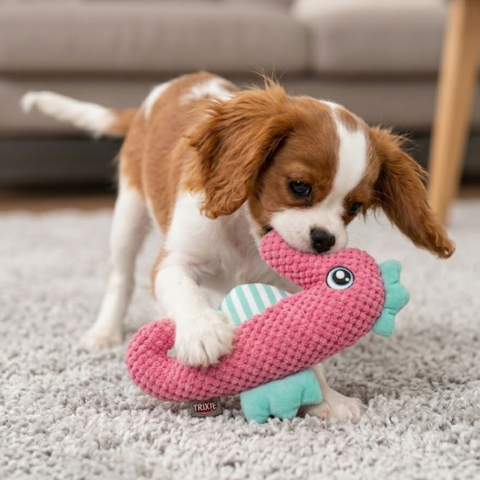 Plysbamse til hunde og hvalpe med indbygget piv