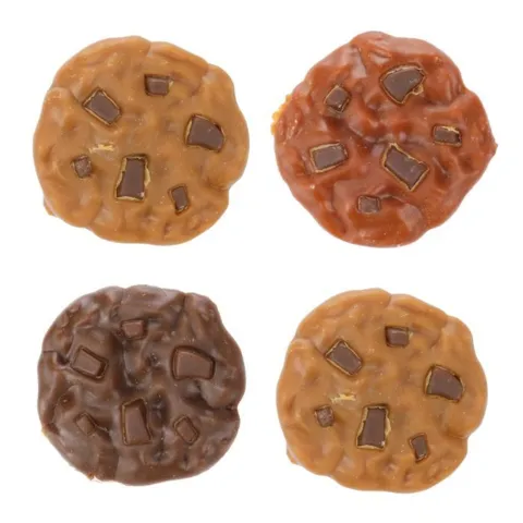 Små hundecookies med kylling, sød kartoffel og græskar i sjov form, kornfri og fedtfattige godbidder til små hunde