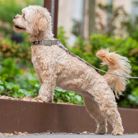Dog Copenhagen Urban Classic™ halsbånd med elegant læderlook