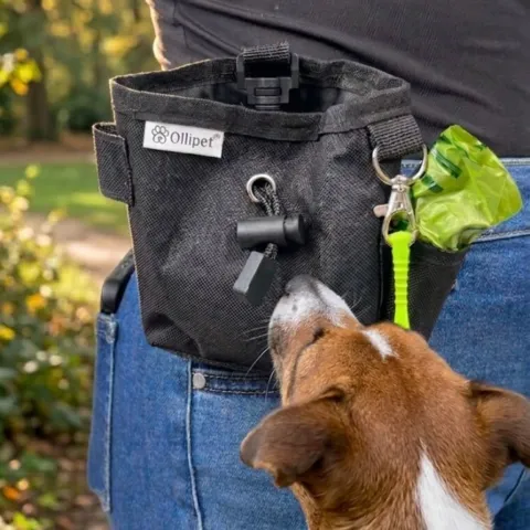 Praktisk Ollipet godbidstaske med plads til godbidder, hømhøm poser og flåtfjerner