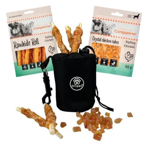 Træningskit til hund med Ollipet taske og Companion godbidder