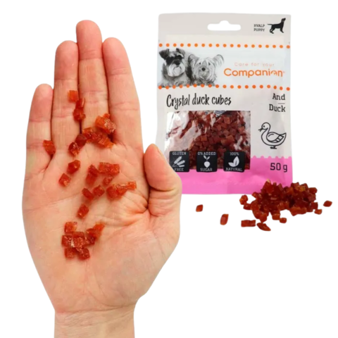 Companion Mini Duck Cubes små bløde andegodbidder i hånd