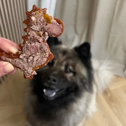 Dino hundesnack fyldt med vådfoder klar til servering