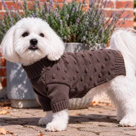 Pompom hundesweater - Flot Mokka farve