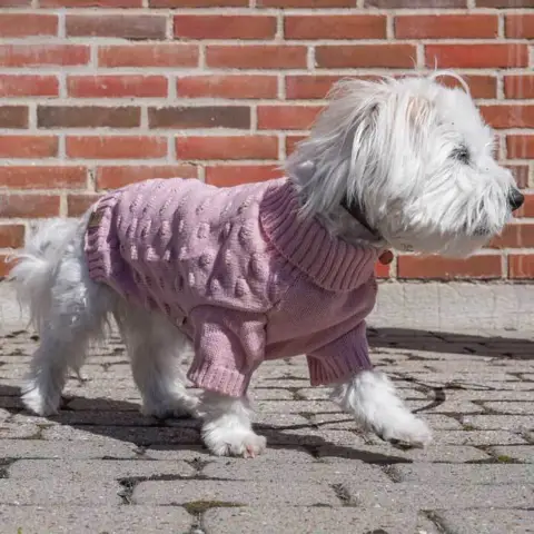 Ollipet Pompom hundesweater