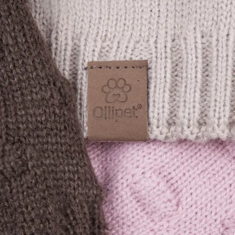 En kær strik til din lille hund